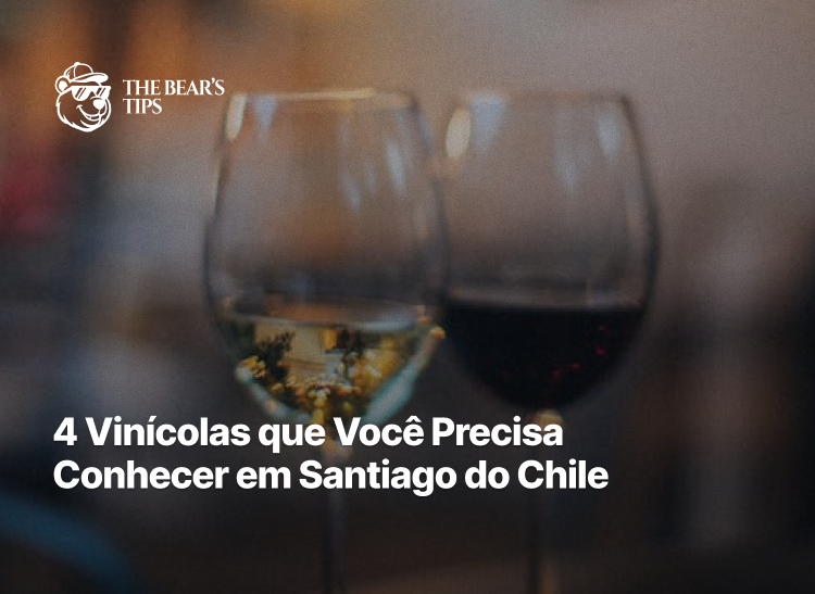4 Vinícolas que Você Precisa Conhecer em Santiago do Chile